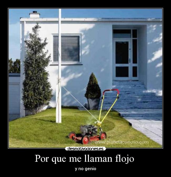 Por que me llaman flojo  - y no genio