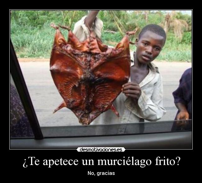 ¿Te apetece un murciélago frito? - No, gracias