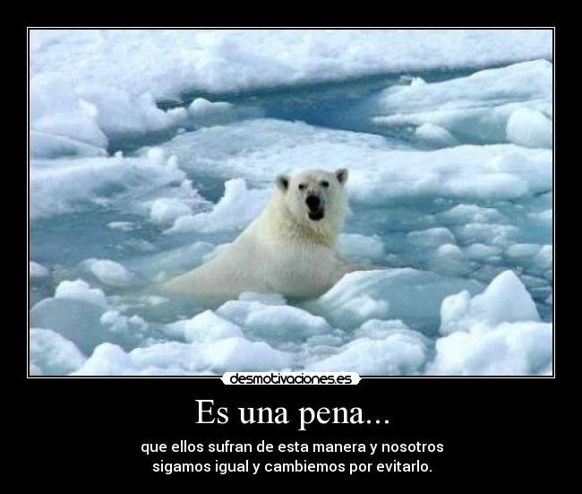 Es una pena... - que ellos sufran de esta manera y nosotros
sigamos igual y cambiemos por evitarlo.