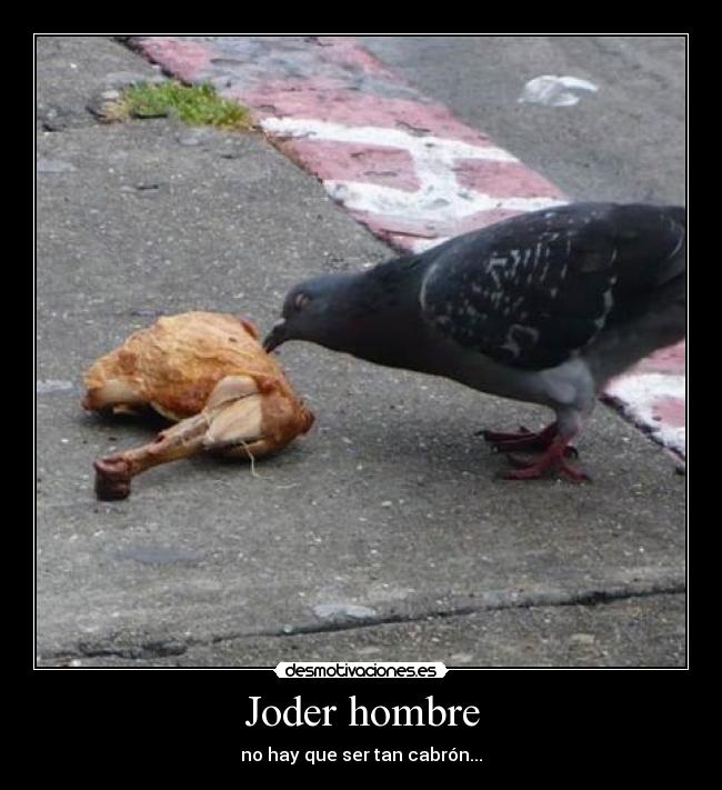 Joder hombre - no hay que ser tan cabrón...