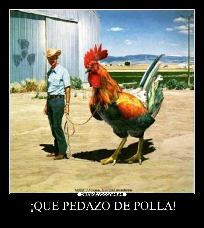 ¡QUE PEDAZO DE POLLA! - 