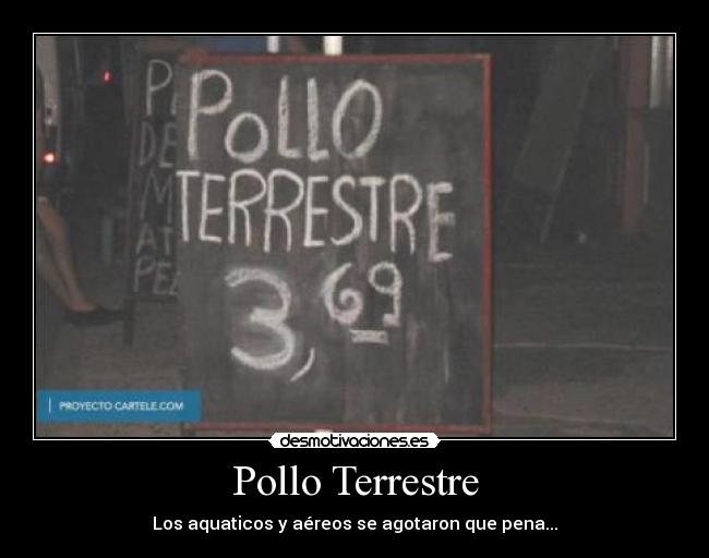 Pollo Terrestre -