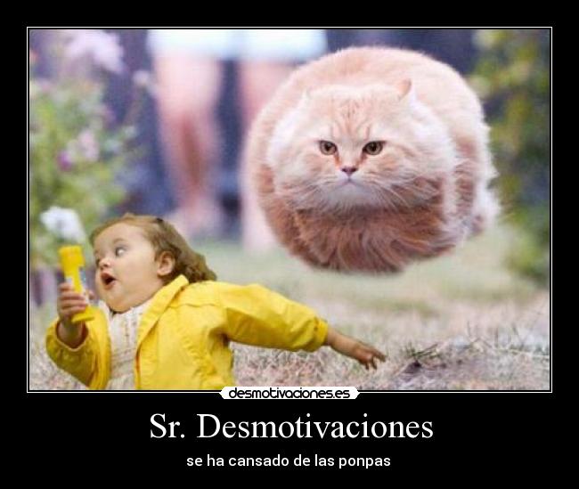 Sr. Desmotivaciones -