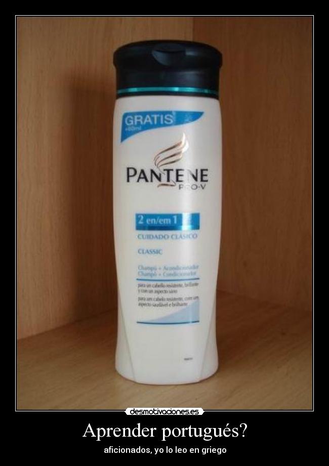 carteles aprender portugues aficionados leo griego desmotivaciones