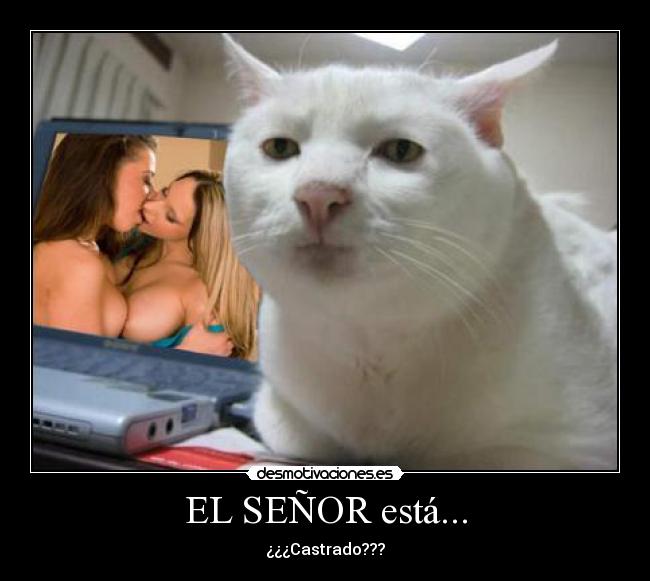 EL SEÑOR está... -