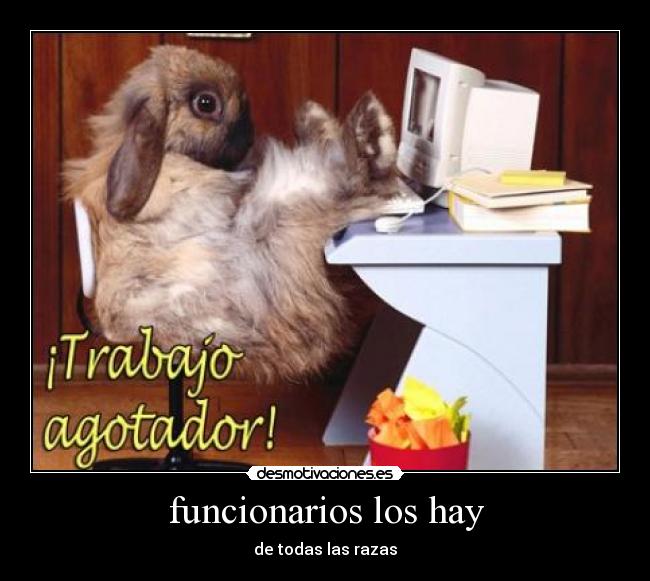 funcionarios los hay - de todas las razas