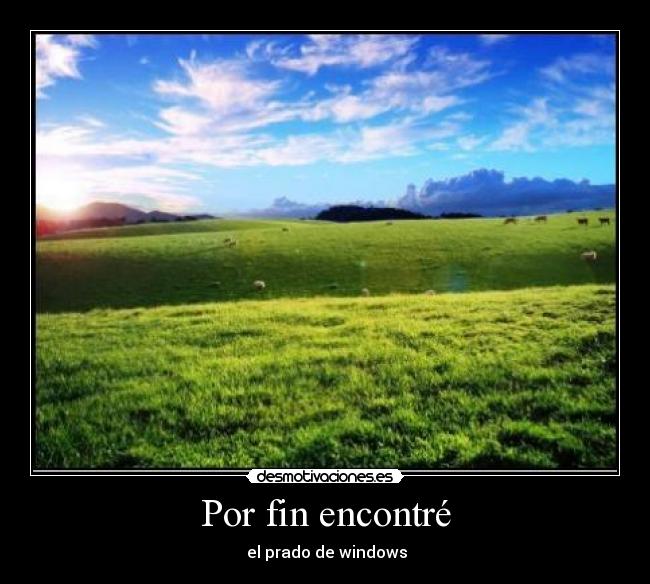 carteles win desmotivaciones