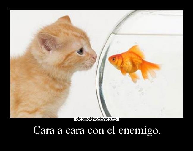 Cara a cara con el enemigo. - 