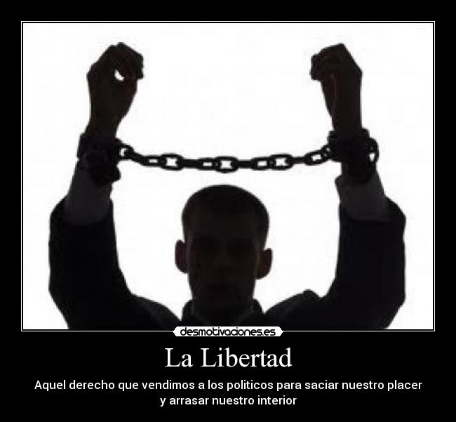 carteles libertad libertad desmotivaciones