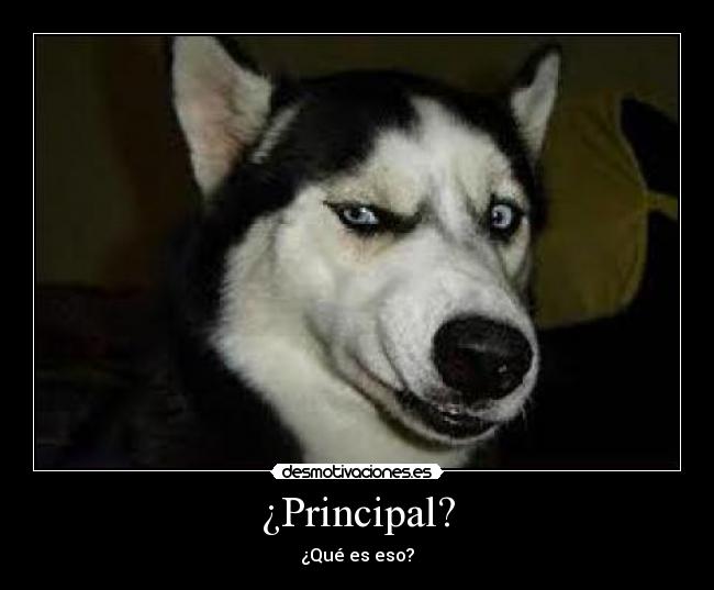 ¿Principal? -