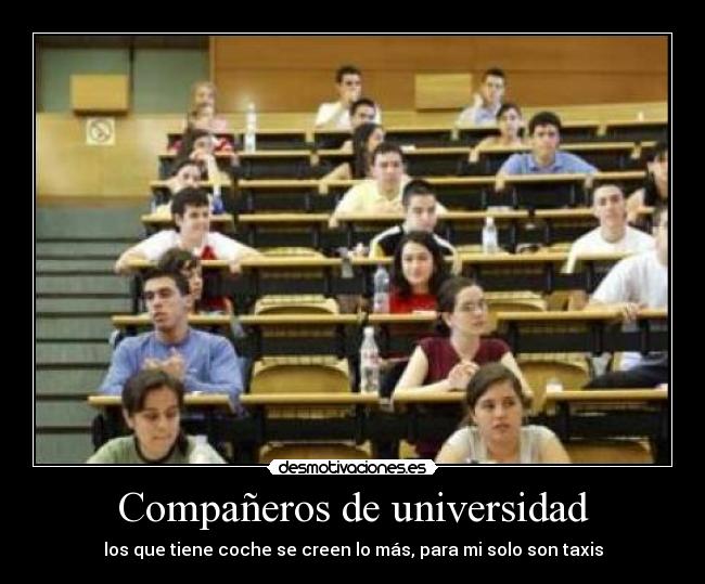Compañeros de universidad -