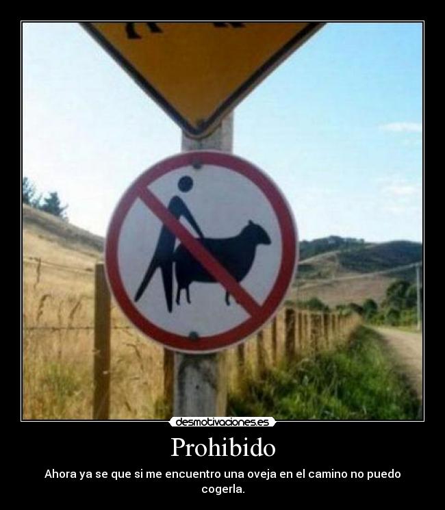 carteles prohibido desmotivaciones