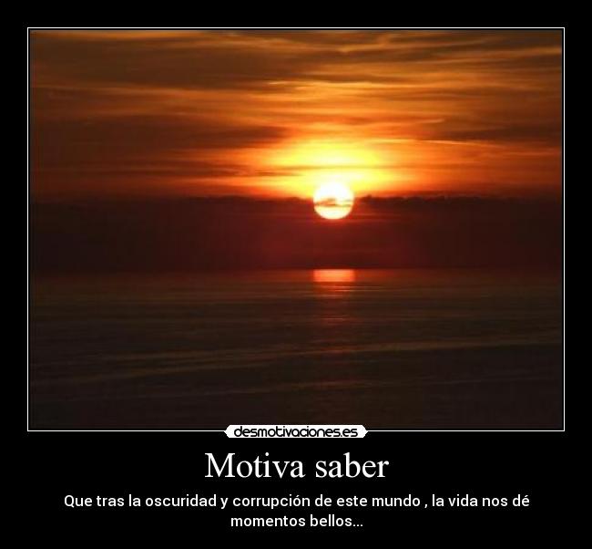 carteles belleza desmotivaciones