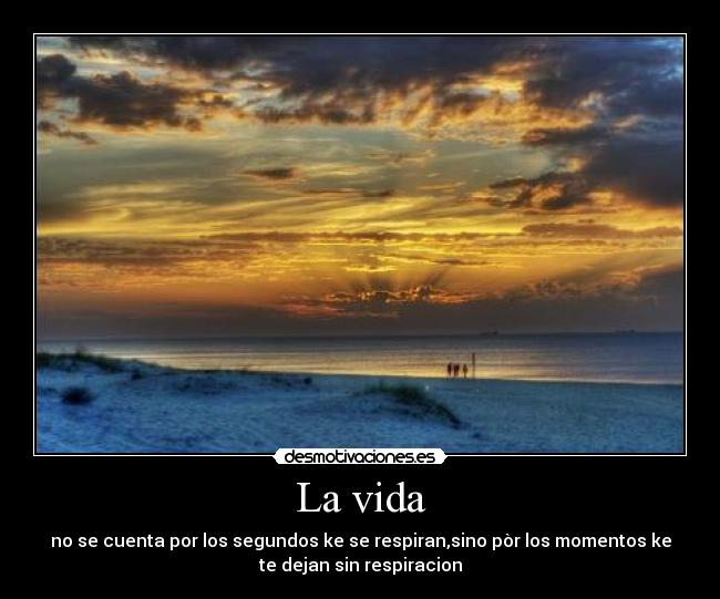 carteles vida vida desmotivaciones