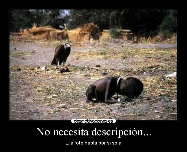 No necesita descripción... -