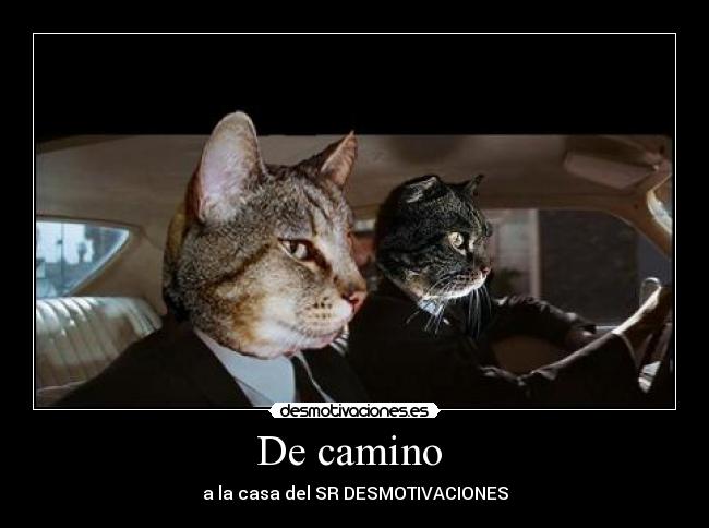 De camino -
