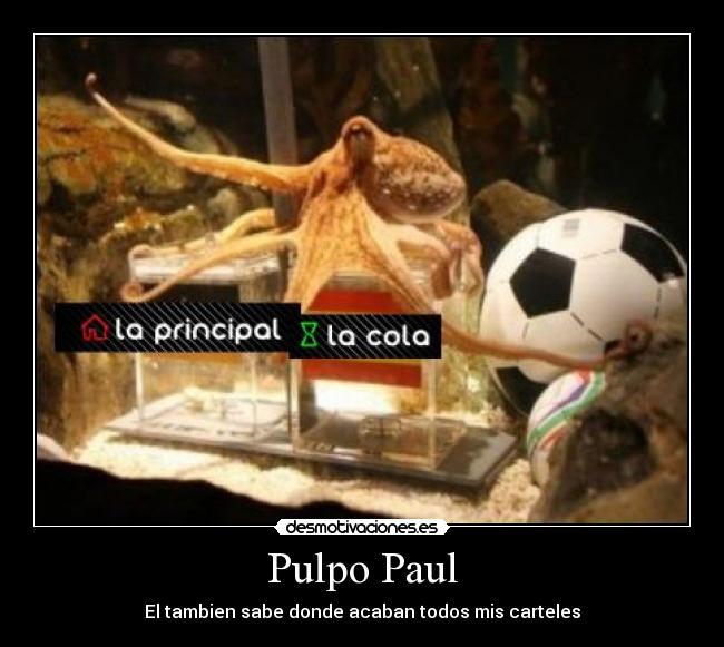 Pulpo Paul - El tambien sabe donde acaban todos mis carteles