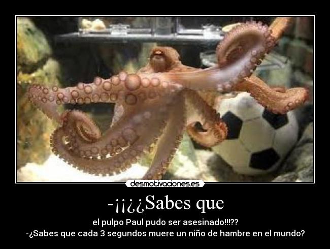 -¡¡¿¿Sabes que - el pulpo Paul pudo ser asesinado!!!??
-¿Sabes que cada 3 segundos muere un niño de hambre en el mundo?
