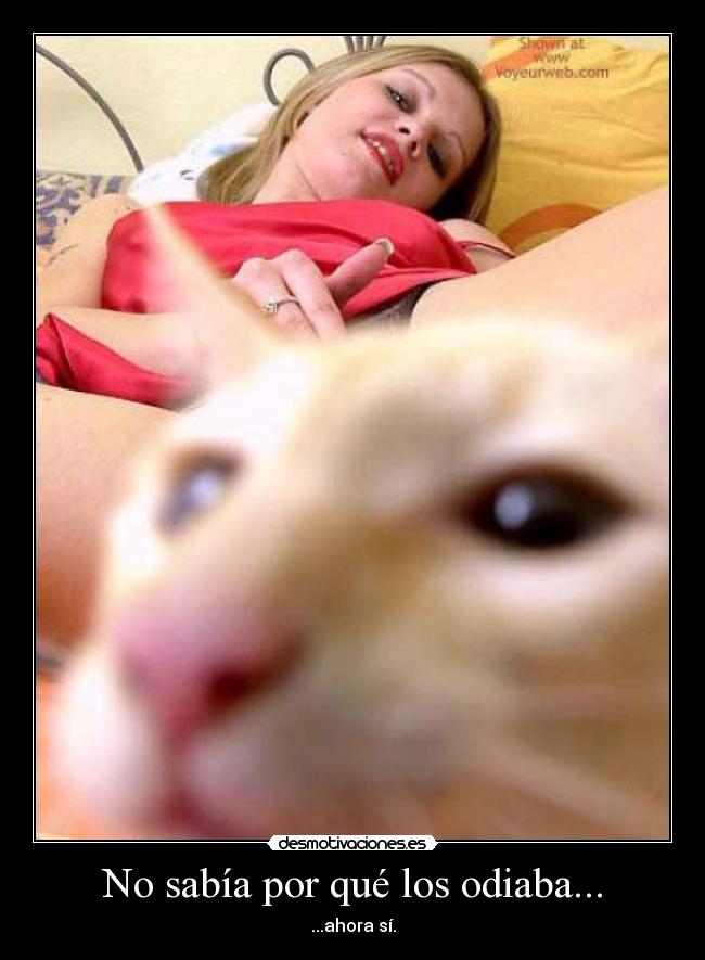 No sabía por qué los odiaba... -