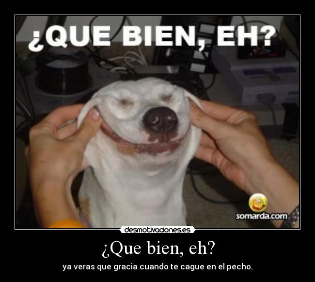 ¿Que bien, eh? - ya veras que gracia cuando te cague en el pecho.
