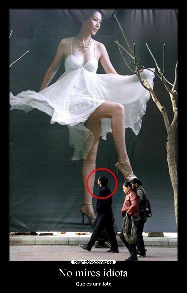No mires idiota - Que es una foto