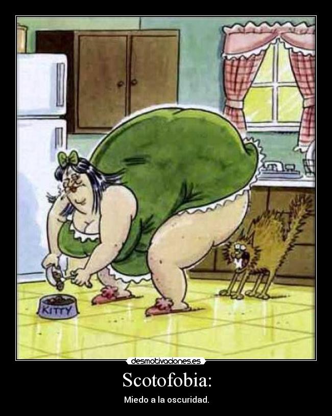 carteles miedo oscuridad gorda mujer gato desmotivaciones