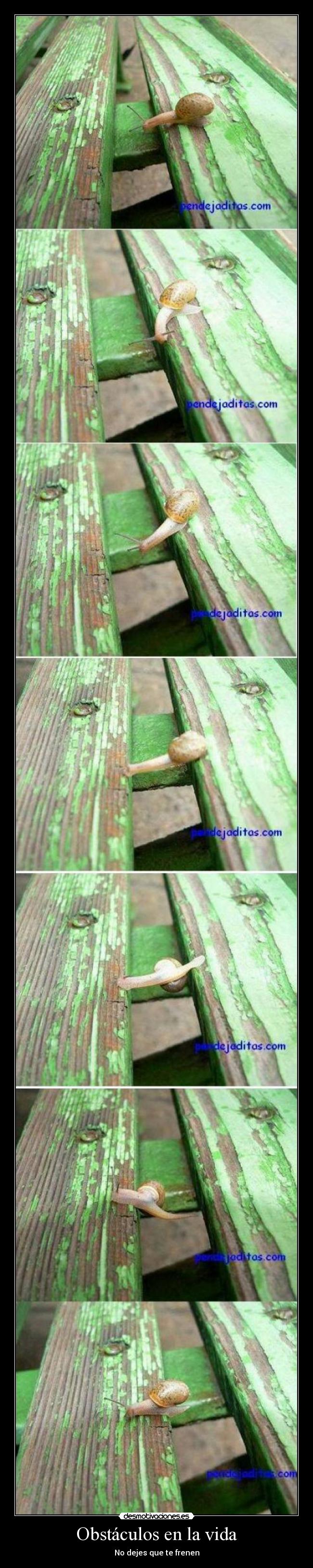 Obstáculos en la vida - 