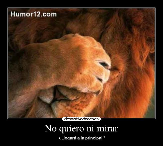 No quiero ni mirar - ¿ Llegará a la principal ?