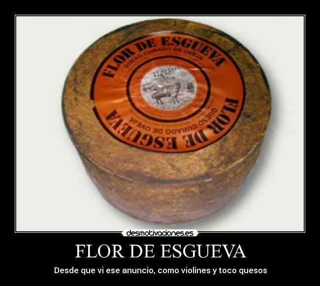 FLOR DE ESGUEVA - Desde que vi ese anuncio, como violines y toco quesos