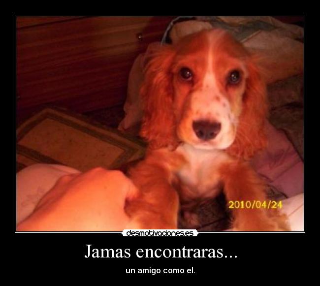 Jamas encontraras... - un amigo como el.