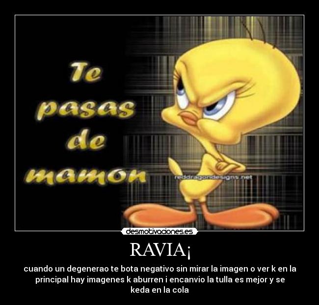 RAVIA¡ - cuando un degenerao te bota negativo sin mirar la imagen o ver k en la
principal hay imagenes k aburren i encanvio la tulla es mejor y se
keda en la cola