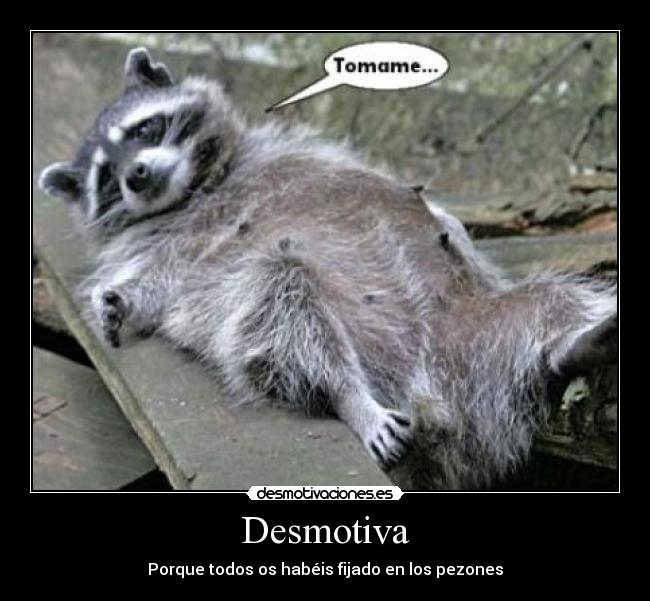 carteles mapache lol desmotivaciones