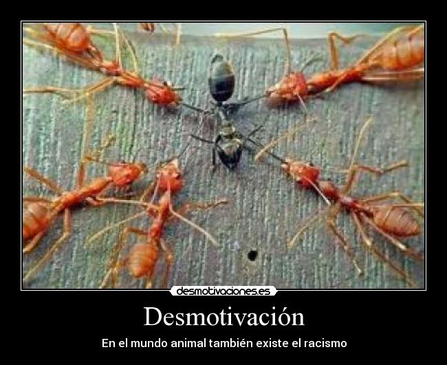 Desmotivación -
