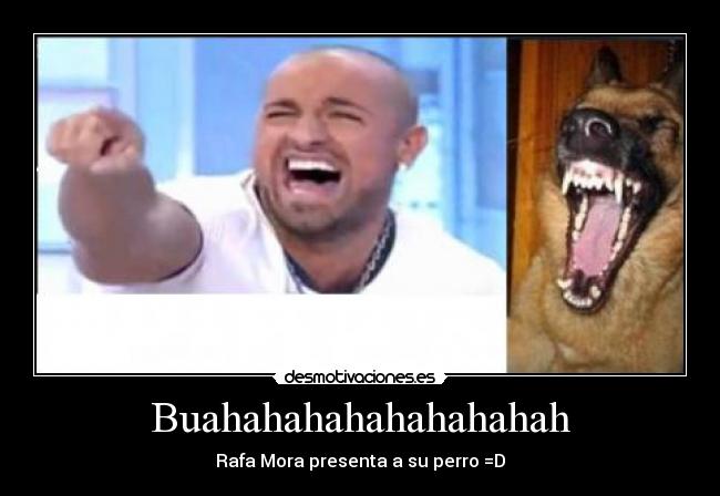 Buahahahahahahahahah - 