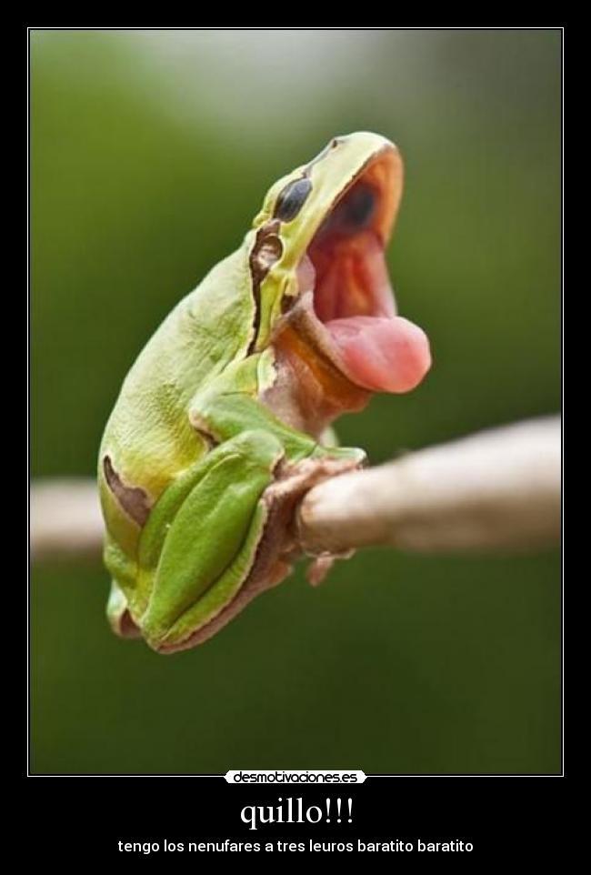 quillo!!! - tengo los nenufares a tres leuros baratito baratito