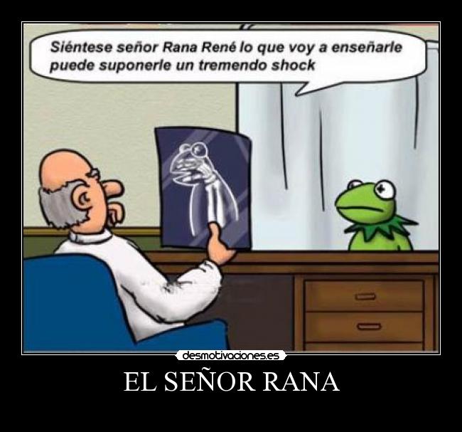 EL SEÑOR RANA - 