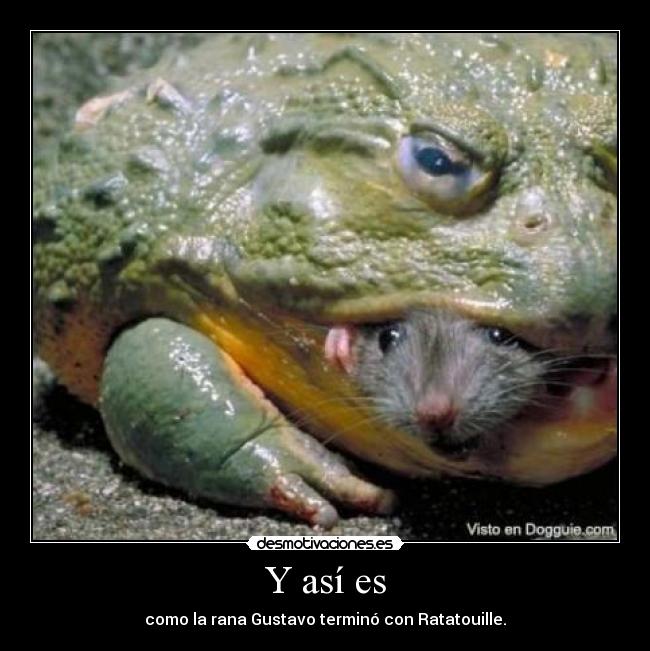 carteles rana ratatouille gustavo desmotivaciones