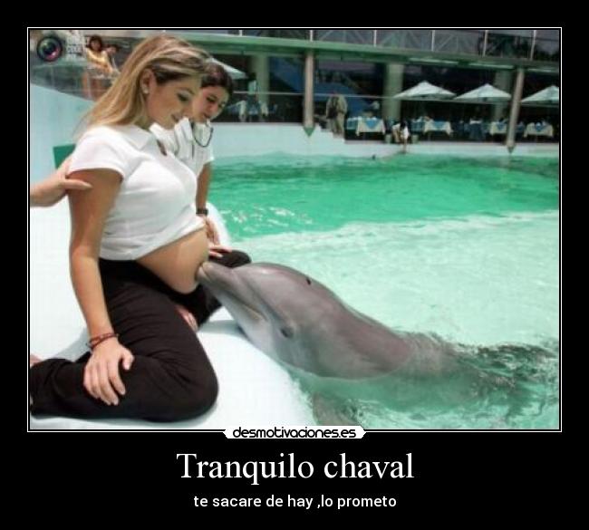 carteles desmotivaciones