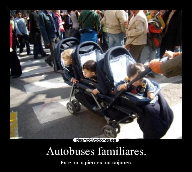 Autobuses familiares. -