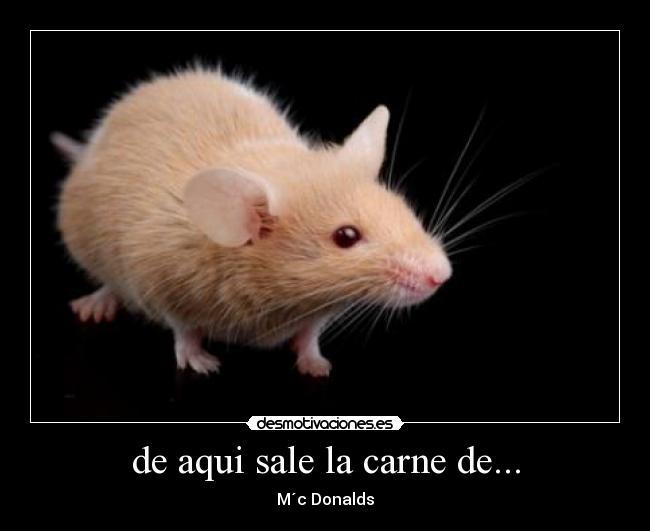 de aqui sale la carne de... - M´c Donalds