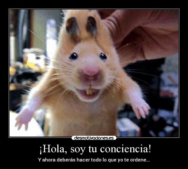¡Hola, soy tu conciencia! - 