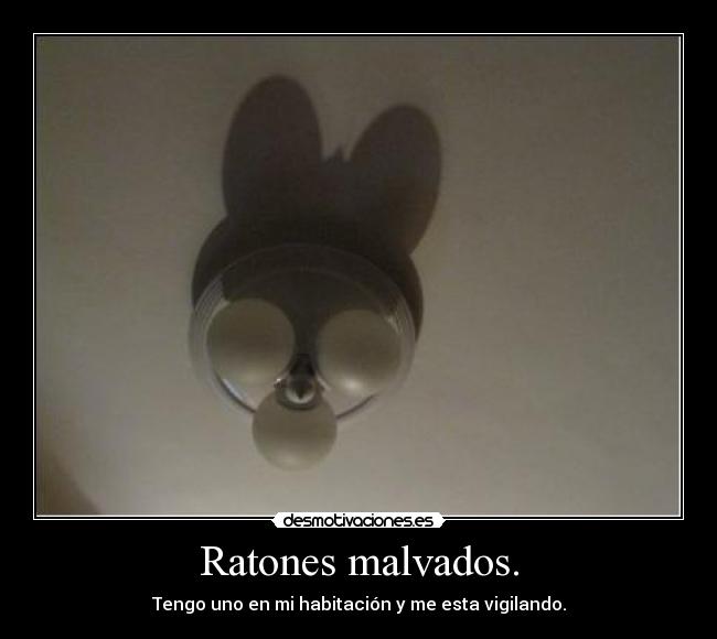 Ratones malvados. - Tengo uno en mi habitación y me esta vigilando.