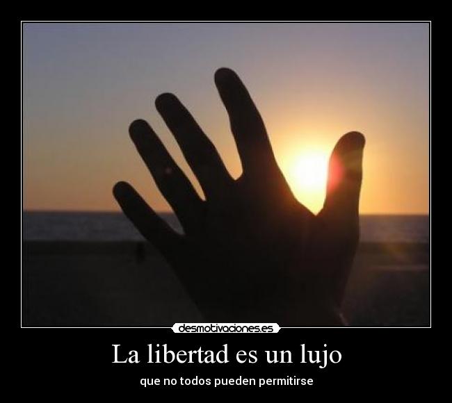 carteles libertad libertad desmotivacion desmotivaciones