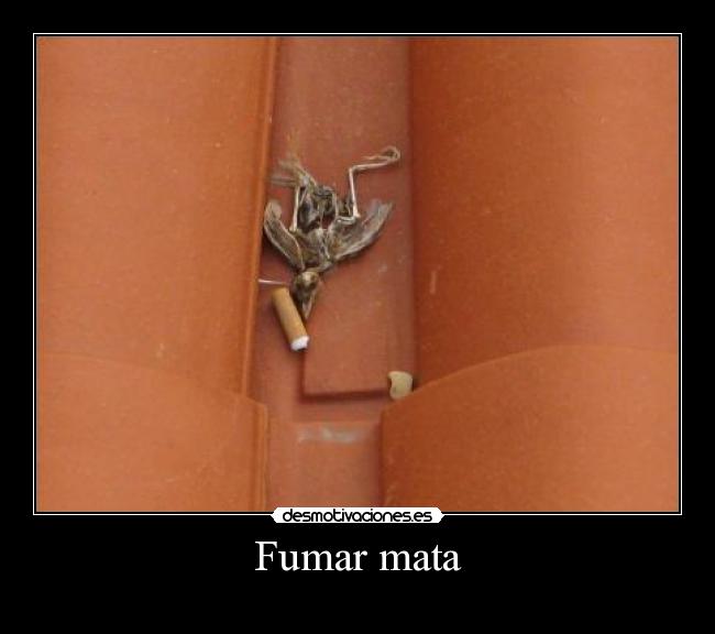 Fumar mata -
