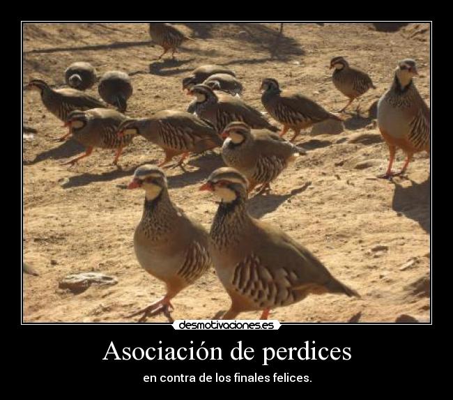 Asociación de perdices -