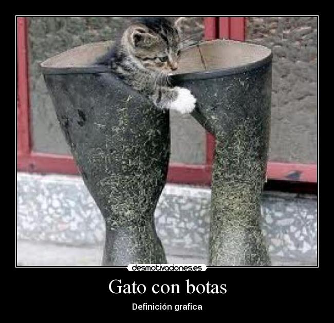 Gato con botas - Definición grafica