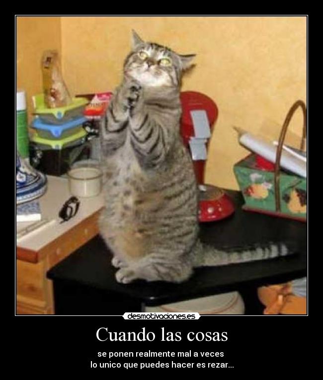 Cuando las cosas - 