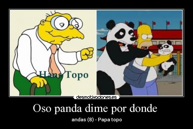 Oso panda dime por donde  - 