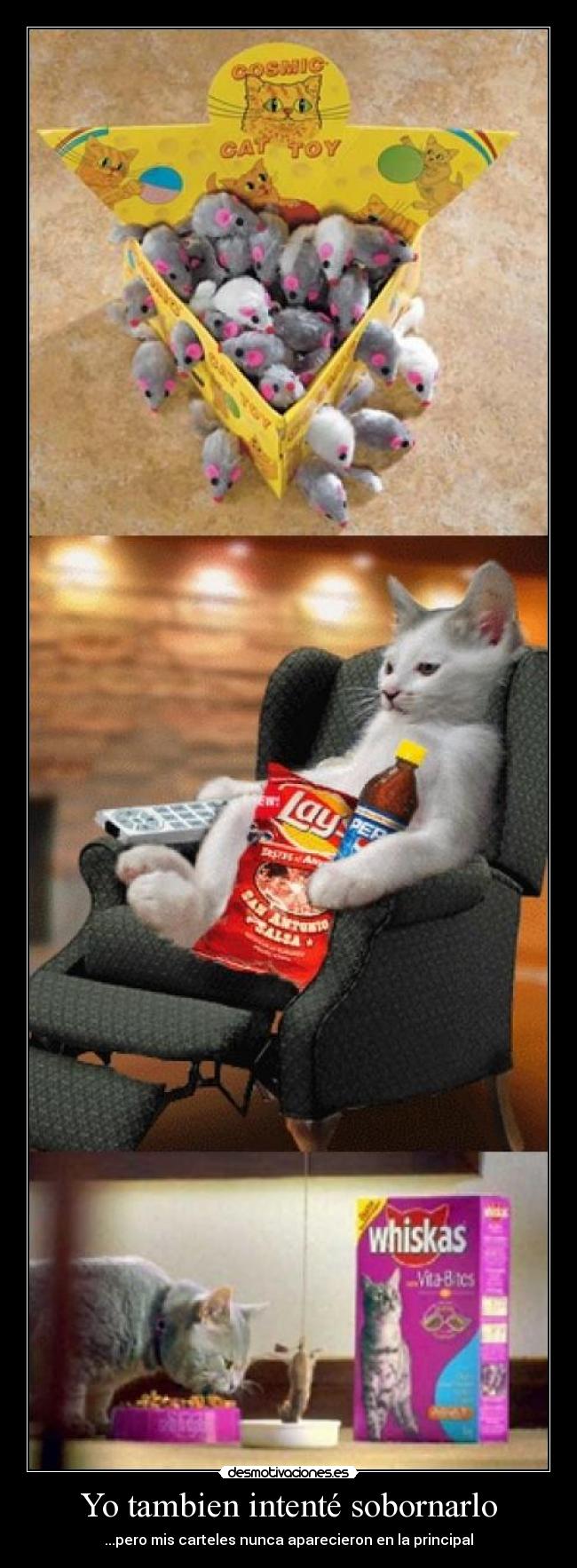 Yo tambien intenté sobornarlo - ...pero mis carteles nunca aparecieron en la principal