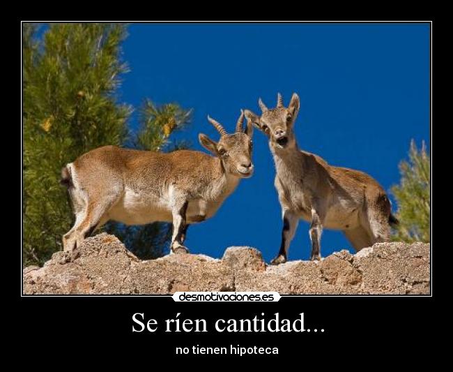 Se ríen cantidad... - 